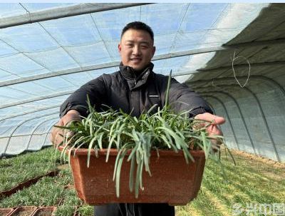 返乡行囊，山东满载“年味”的幸福(图4)