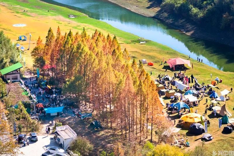 书写同题共答的为农篇章——全国两会涉农建议提案办理工作回顾(图4)