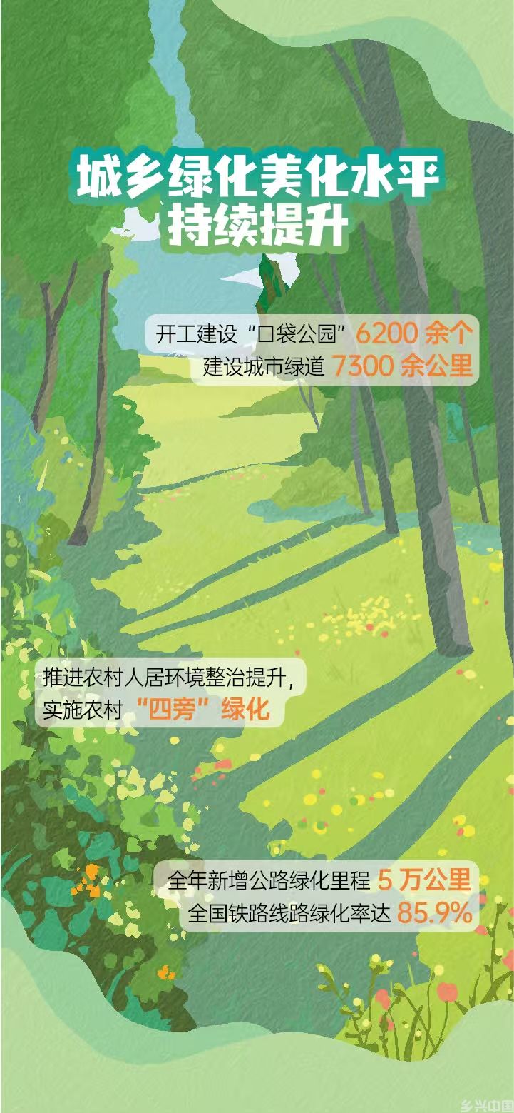 森林覆盖率超25% 我国国土绿化工作取得新成效(图4)