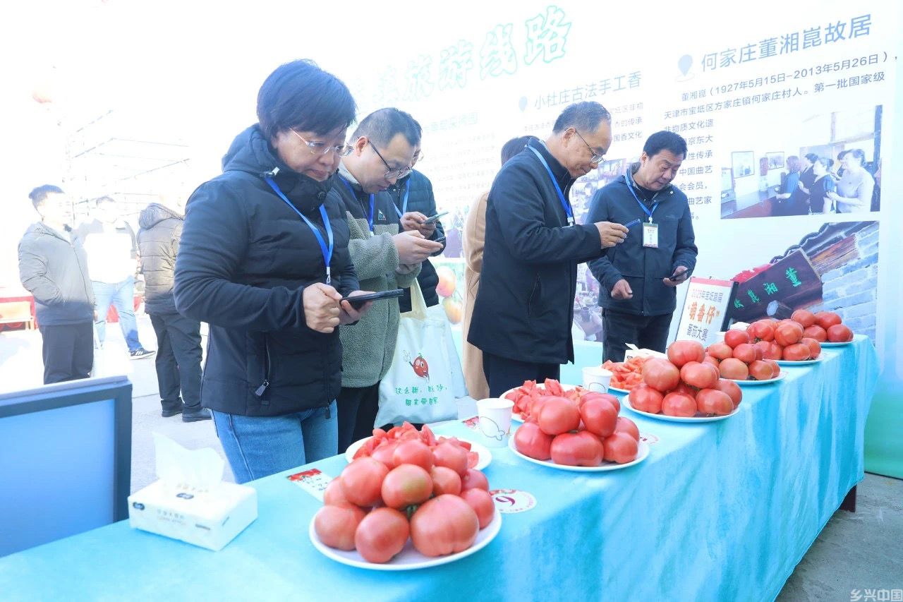 津宝坻区：“萌番仔”打擂拼品质“农文旅”引客醉时光(图2)