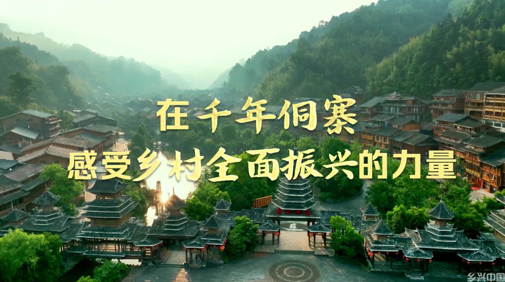 在千年侗寨，感受乡村全面振兴的力量(图8)