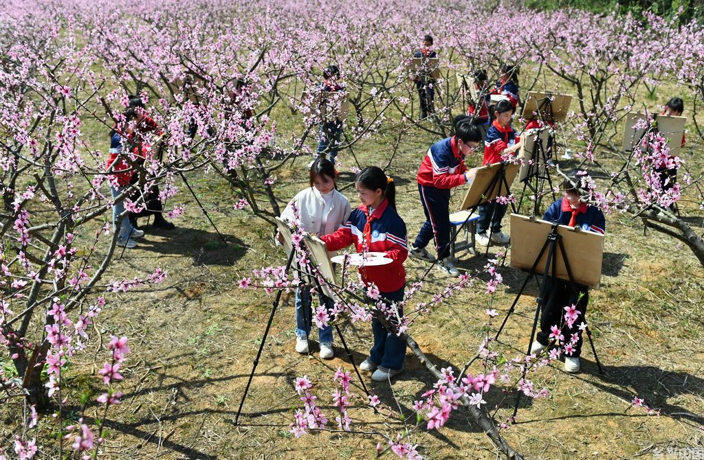 3月24日，在湖南省邵阳市洞口县黄桥镇石狮村，学生在桃花园里写生。新华社发（滕治中摄）