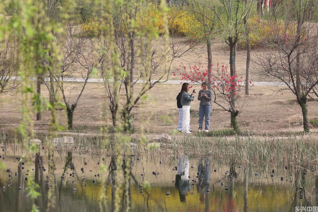 3月24日，人们在河南省焦作市温县子夏公园休闲游玩。新华社发（徐宏星摄）