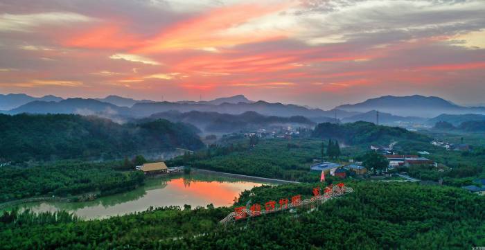 竹笋产业如何守住“舌尖上的鲜味”？(图1)
