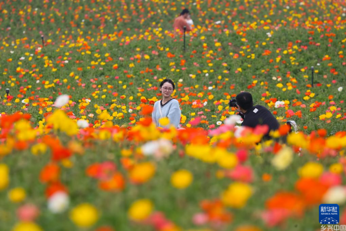 清明假期踏青赏花(图1)
