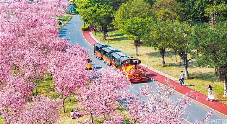 花满青秀山(图2)