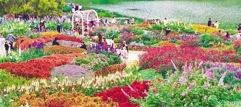 花满青秀山(图3)