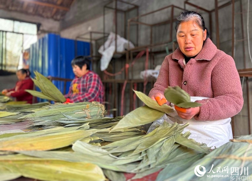 分拣竹叶。陈烨摄