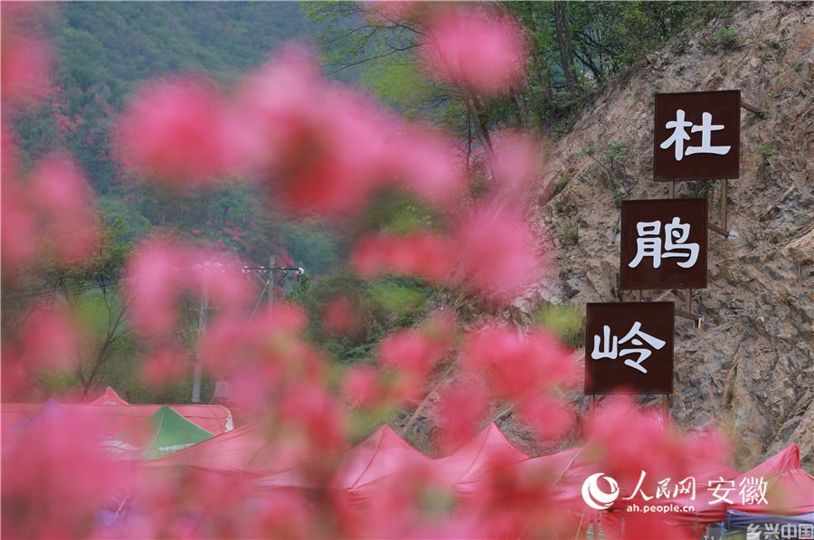 杜鹃岭。人民网记者 王晓飞摄