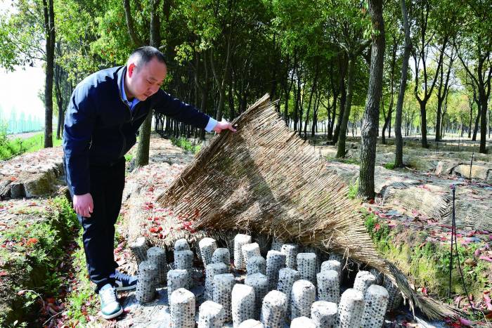 “兵支书”李子孝新战场上当“尖兵”(图1)
