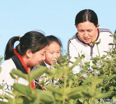 乐享精彩假期 感受劳动之美(图3)