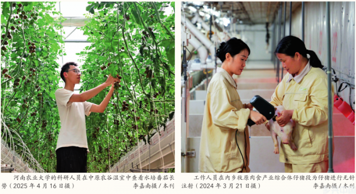 牢牢抓住粮食这个核心竞争力(图4)