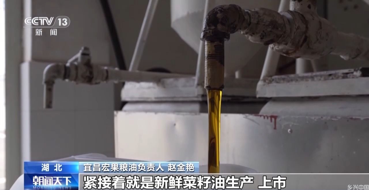 提供烘干服务、改造除尘系统……多地优化收购服务保障售粮顺畅(图5)
