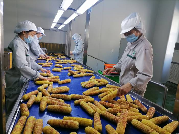 鲜食农产品缘何成“餐桌新宠”？(图3)