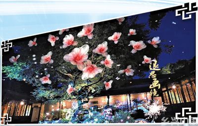 苏州园林的“数字化生活”(图2)