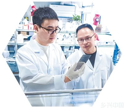 一层神奇薄膜的产业突破(图1)