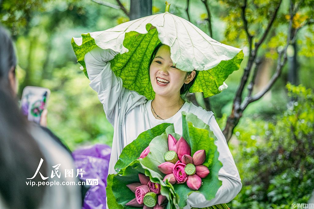 江苏苏州:荷花市集开市