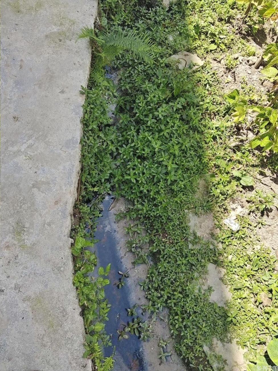 村庄污水横流。生态环境部供图