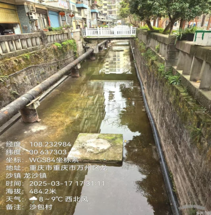 2025年3月现场照片。重庆市生态环境局供图