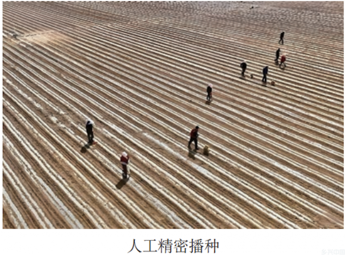 水肥一体化提单产 | 河西灌区制种玉米膜下滴灌水肥一体化技术模式(图2)