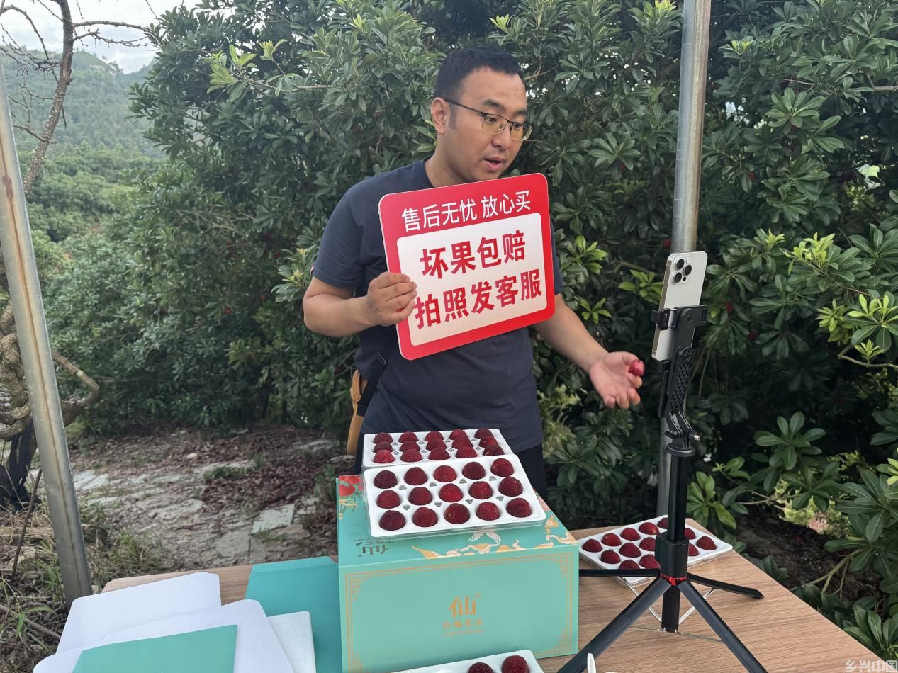 “杨”帆聚力共富路 “梅”好仙居产业兴(图7)