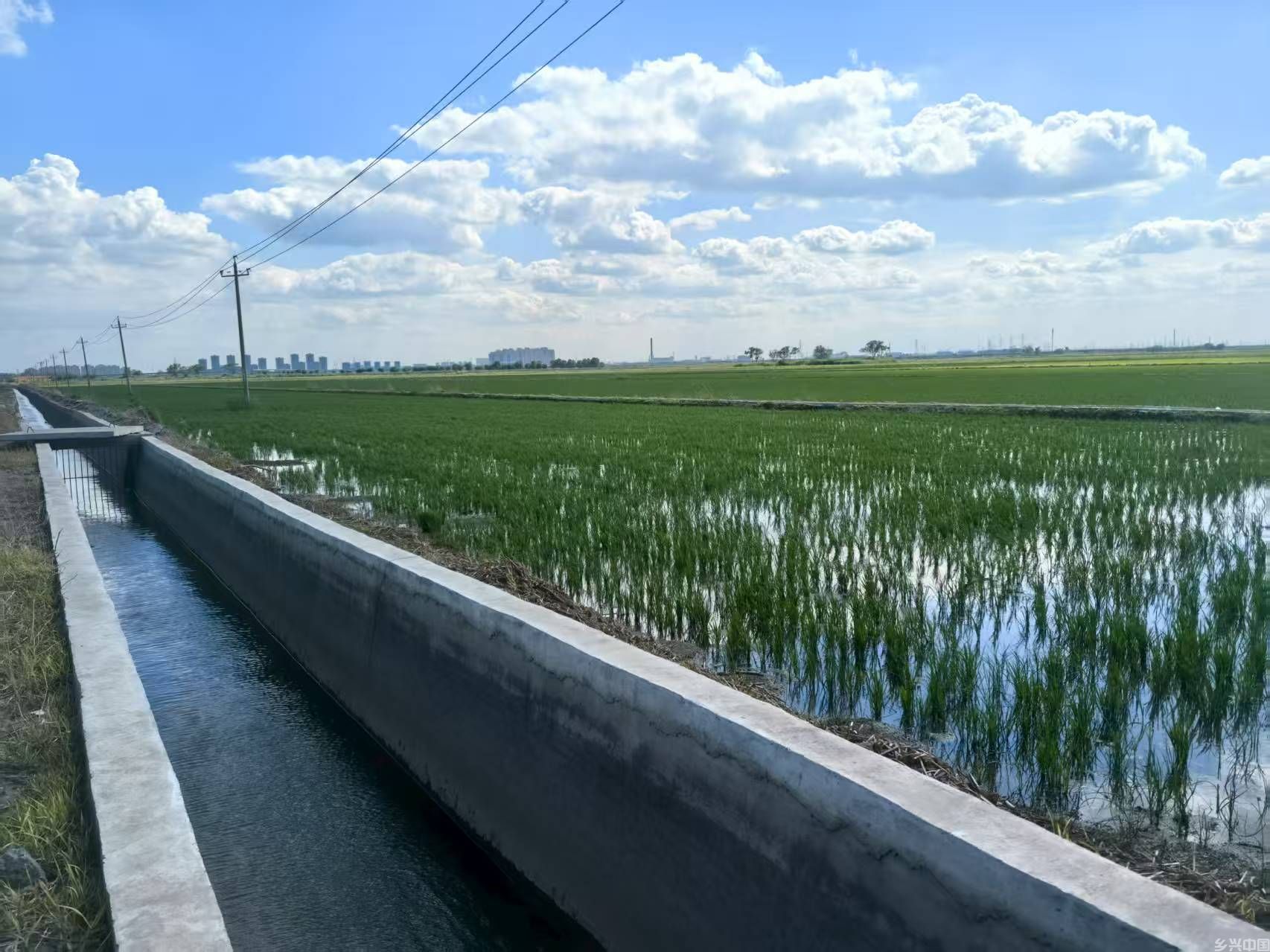 都市近郊盐碱地变成吨粮田——天津探索高标准农田质效提升新路径(图1)