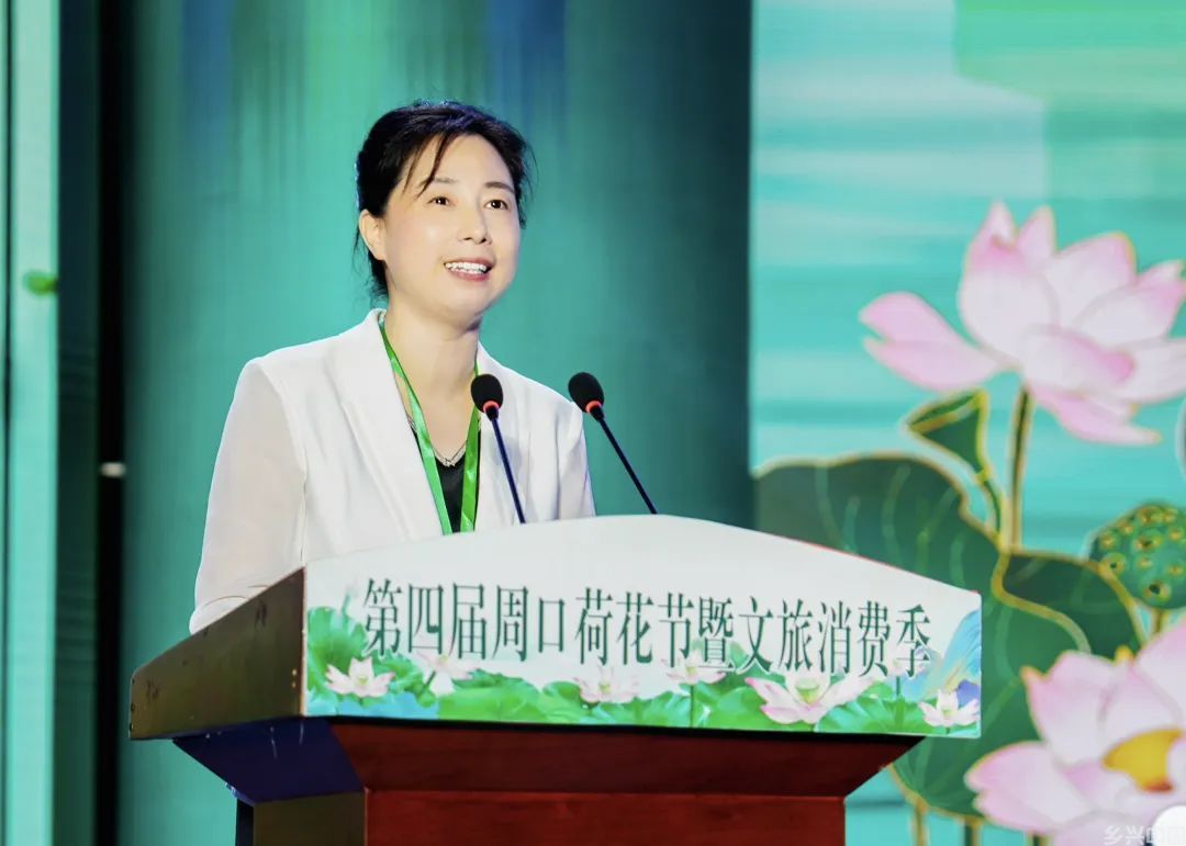 打造“荷美经济”产业链,来周口解锁夏日“荷颜悦色”!(图5)