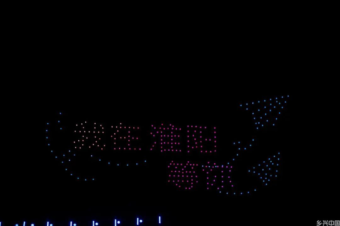 打造“荷美经济”产业链,来周口解锁夏日“荷颜悦色”!(图8)