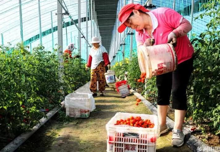 山海之城如何做好“共富攻略”(图1)