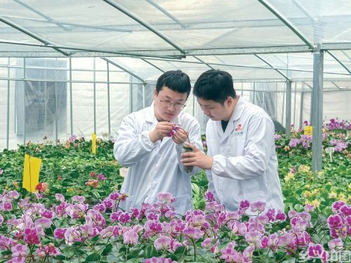 城郊休闲农业如何打开新局面？(图1)