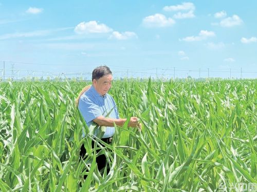 53本笔记，半个世纪“粮心” ——记安徽省太和县种粮大户徐淙祥(图1)