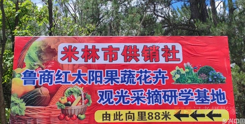 高原上的鲁商引擎——林芝市鲁商产业园的藏区协同发展纪实 高原上的鲁商引擎——林芝市鲁商产业园的藏区协同发展纪实