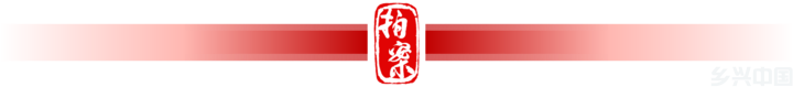 适用民营经济促进法！最高法这起案件值得关注(图2)