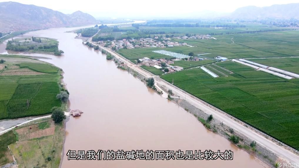 从治理到共赢：生态修复绘就绿色发展画卷(图2)