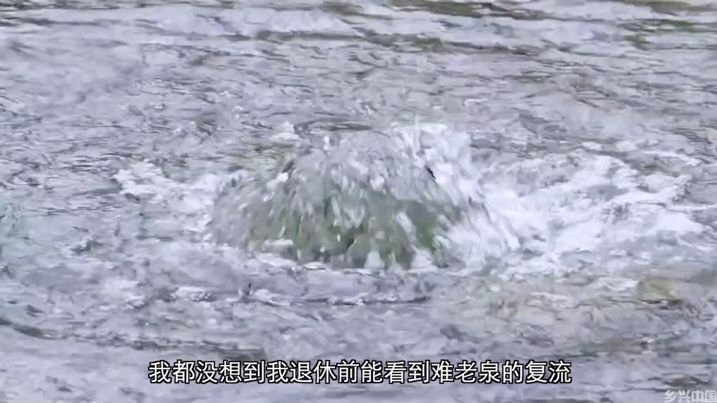 从治理到共赢：生态修复绘就绿色发展画卷(图5)