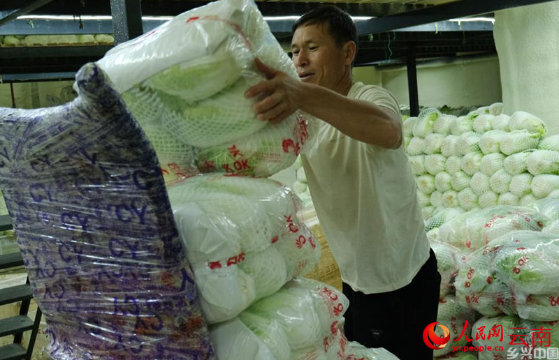 工人正在搬运即将送往泰国的白菜。人民网 曾智慧摄