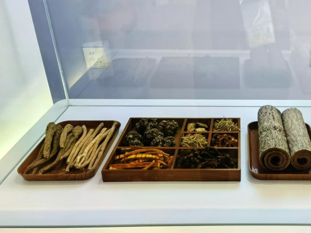 中医药“圈粉”上合朋友圈(图3)