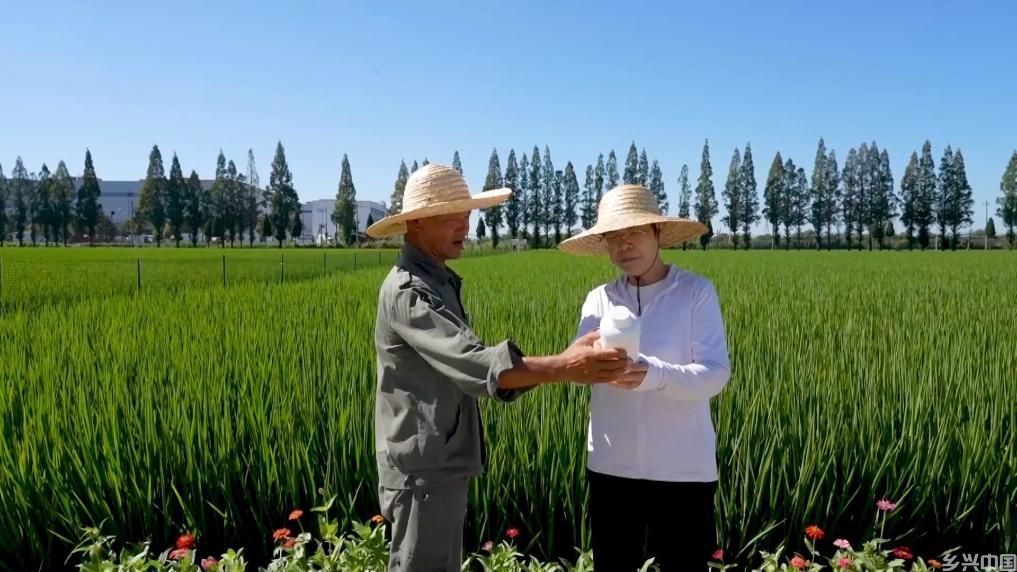 各地多维度发力 多元探索绘就乡村振兴新画卷(图2)