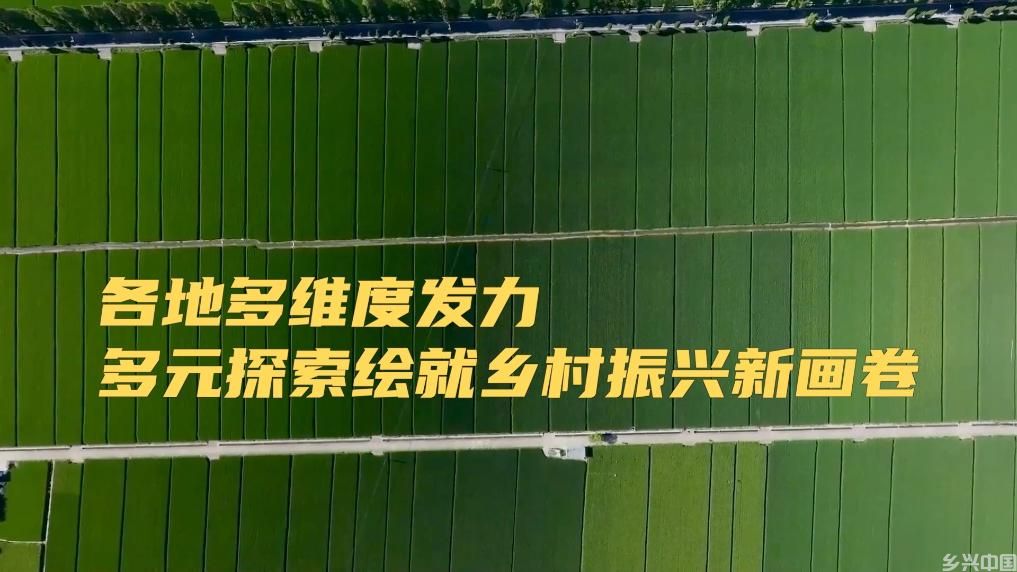 各地多维度发力 多元探索绘就乡村振兴新画卷(图16)