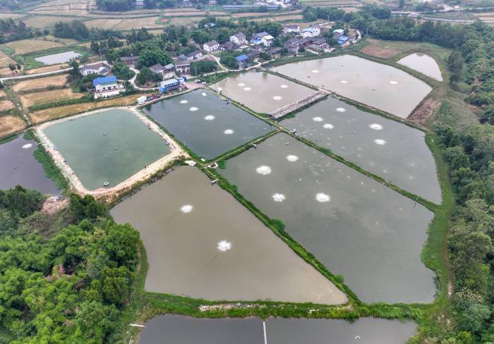 水产养殖助农增收(图2)