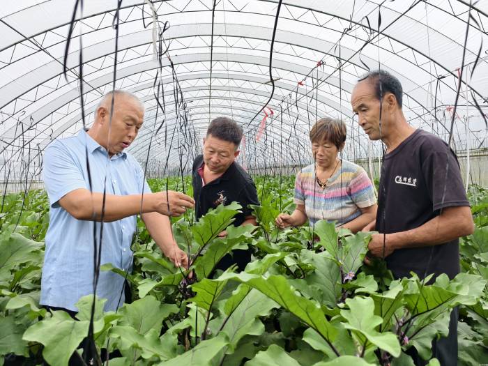 菜王传“技” ,“小西瓜”促进“大就业”(图2)