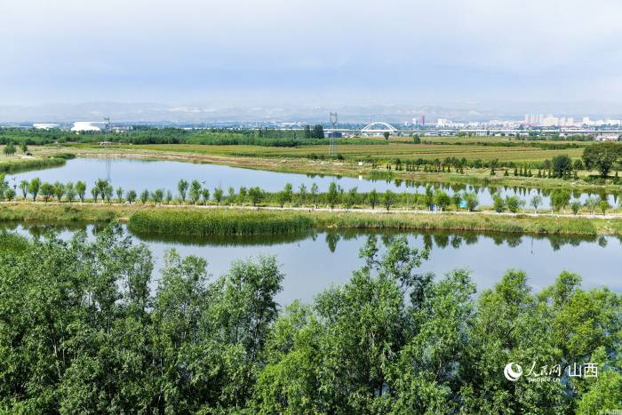 秋日的朔州市山阴县桑干河国家湿地公园。人民网记者 焦搏文摄