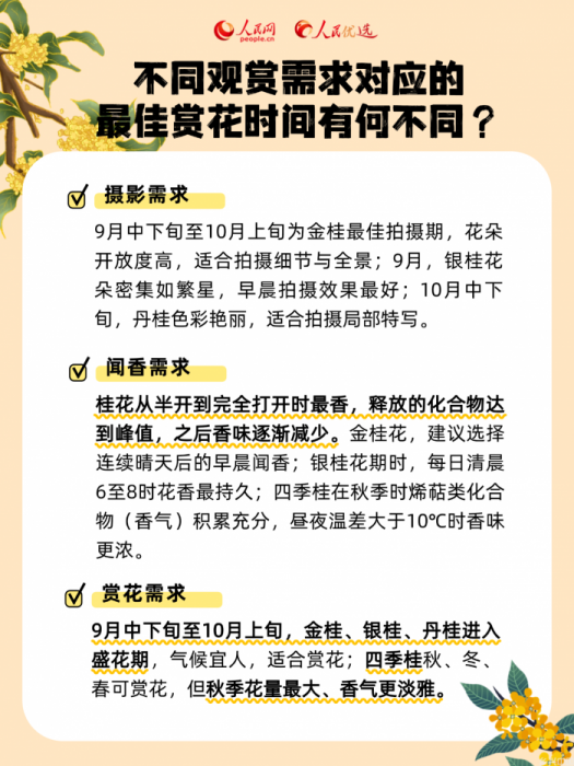 秋风起桂花香,一起邂逅“桂花味”的秋天(图7)