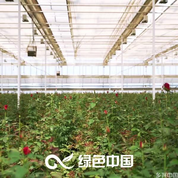 废矿新生(图1)