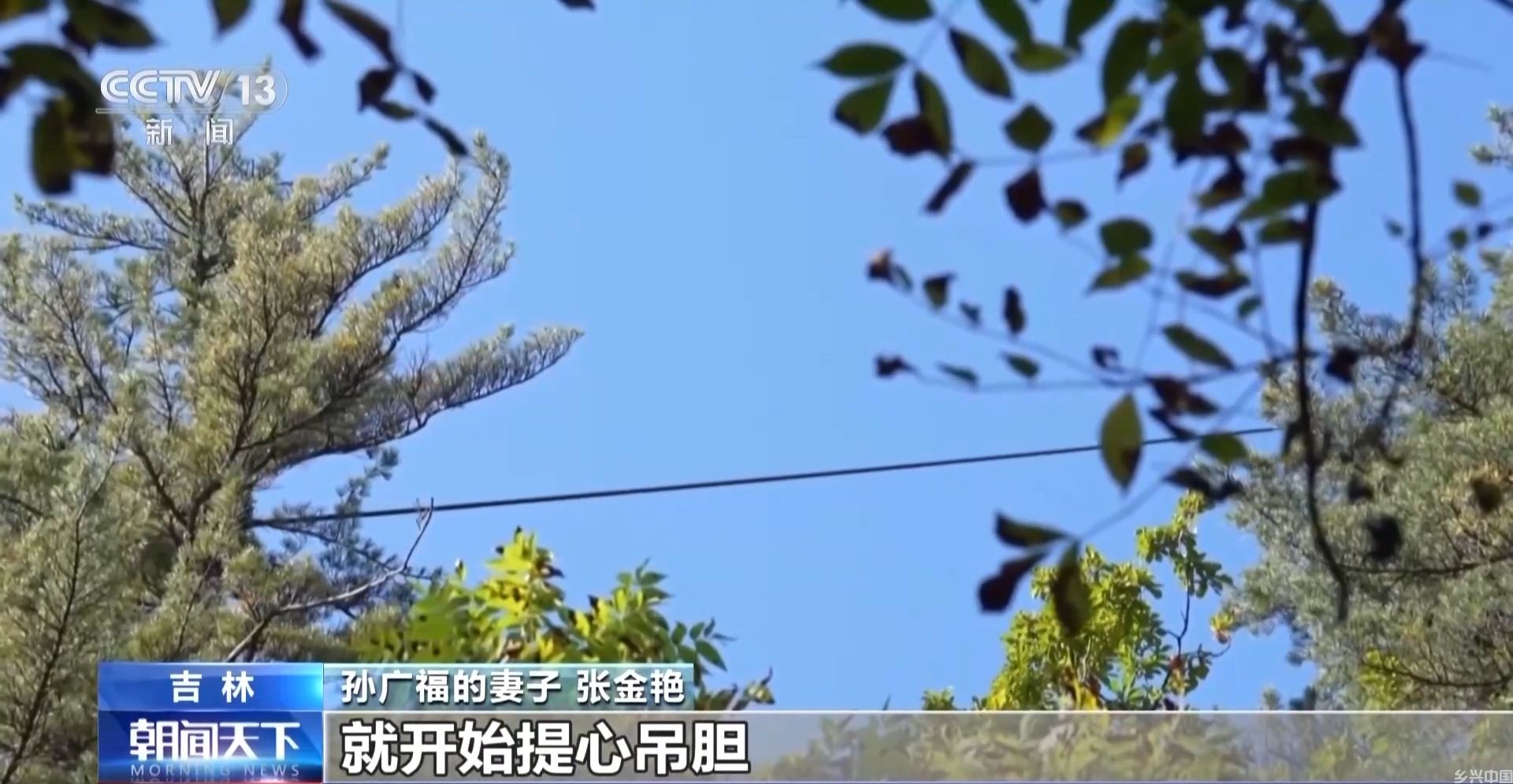 全球松子产业之都！东北小城梅河口藏不住了(图1)