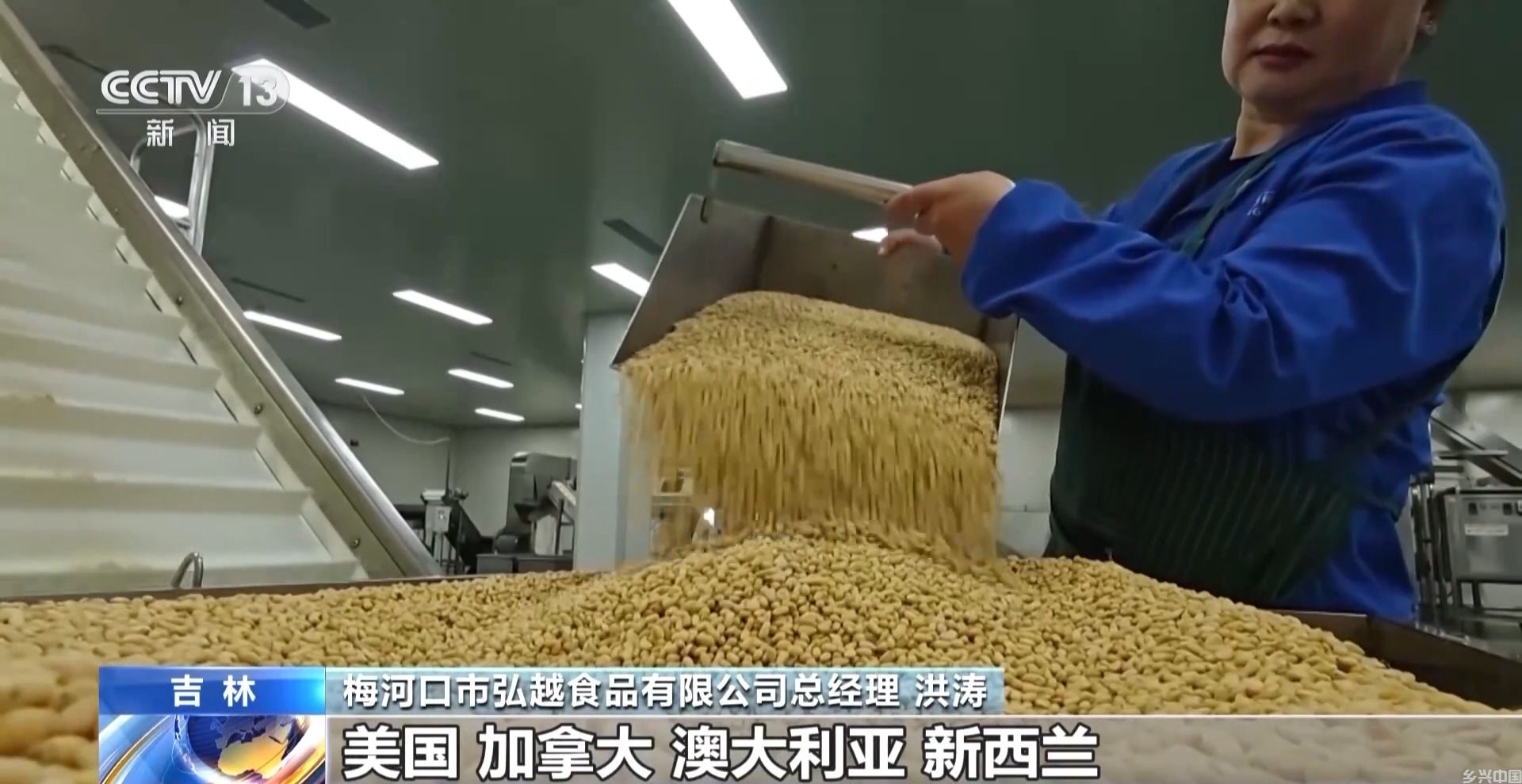 全球松子产业之都！东北小城梅河口藏不住了(图12)