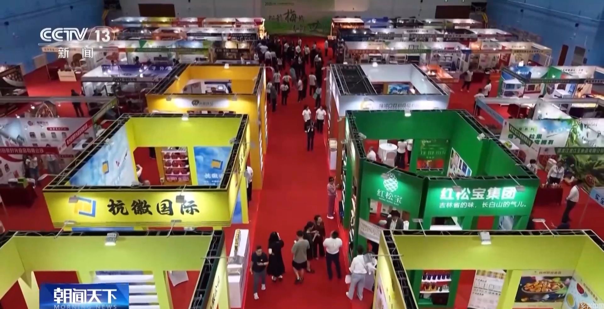 全球松子产业之都！东北小城梅河口藏不住了(图15)