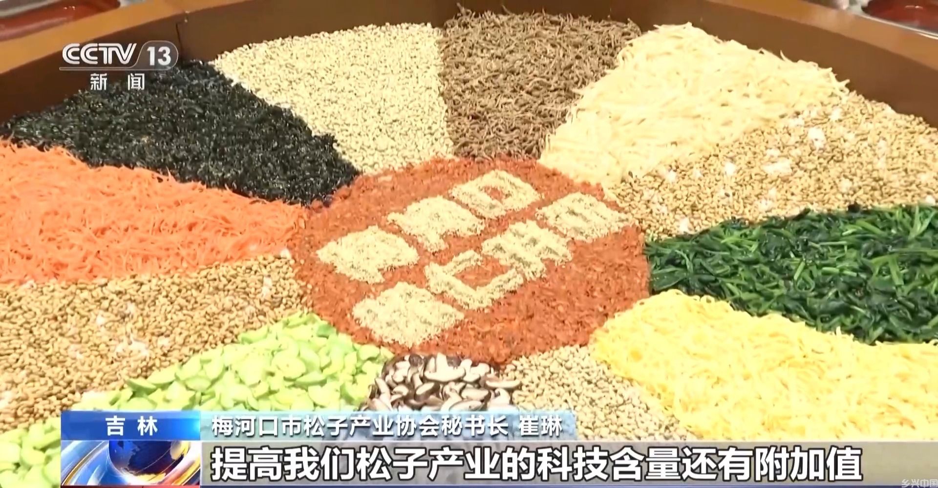全球松子产业之都！东北小城梅河口藏不住了(图20)