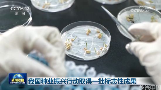 我国种业振兴行动取得一批标志性成果