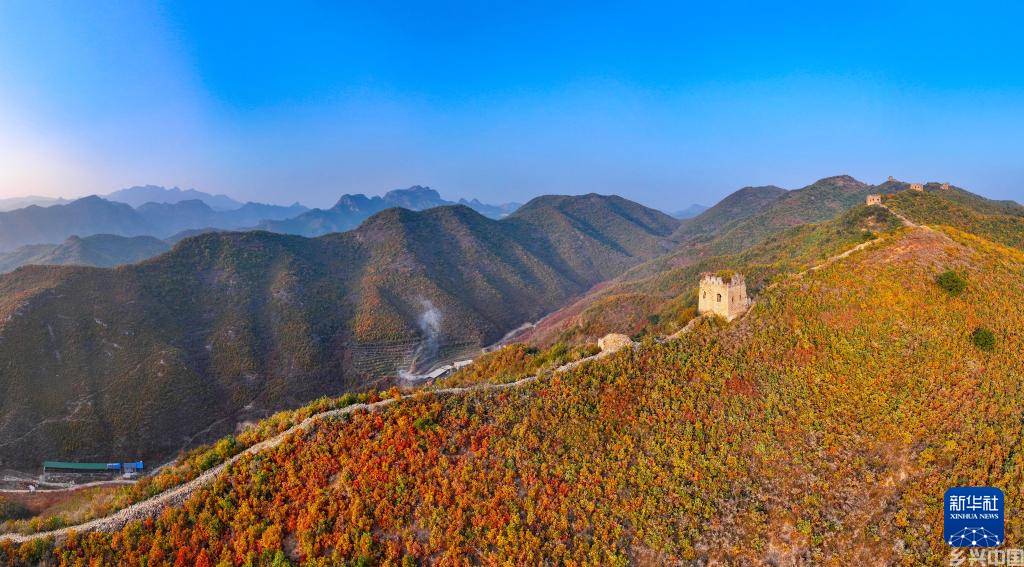 长城秋韵(图1)